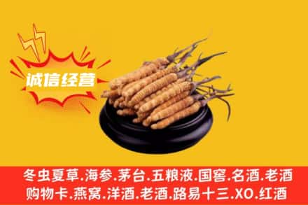 那坡县回收冬虫夏草